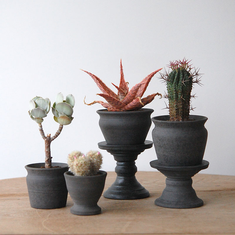 succulent x 荻野揺子さんの器