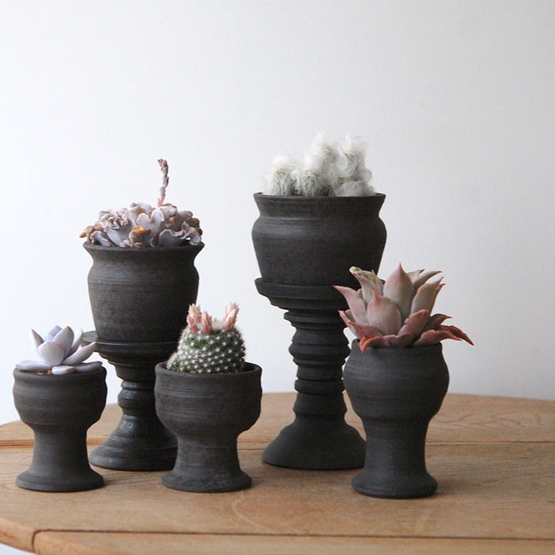 succulent x 荻野揺子さんの器