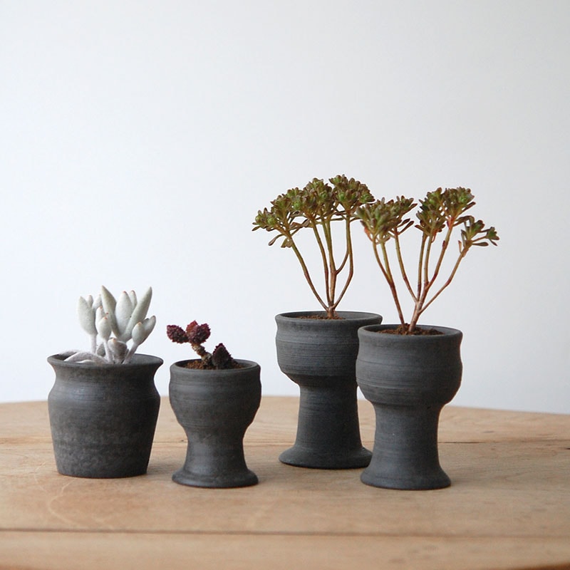 succulent x 荻野揺子さんの器