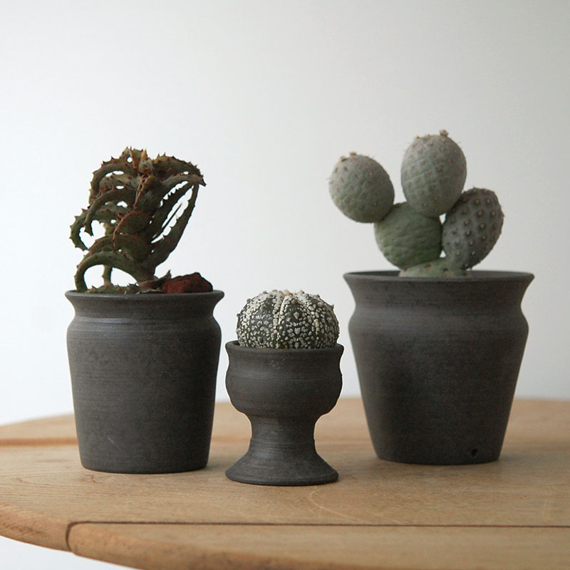 succulent x 荻野揺子さんの器