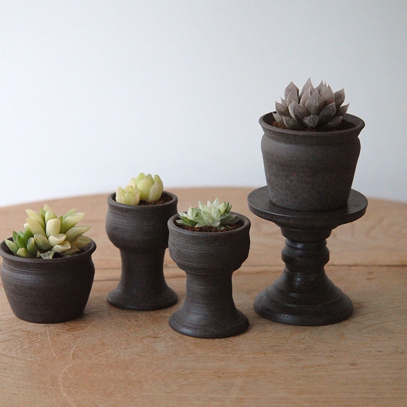 succulent x 荻野揺子さんの器