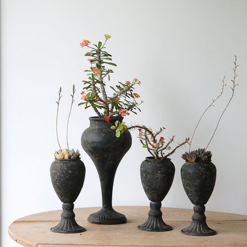 Succulent x アイアンゴブレット