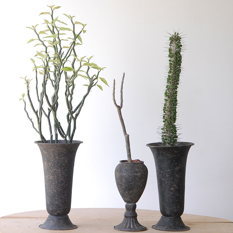 Succulent x アイアンゴブレット