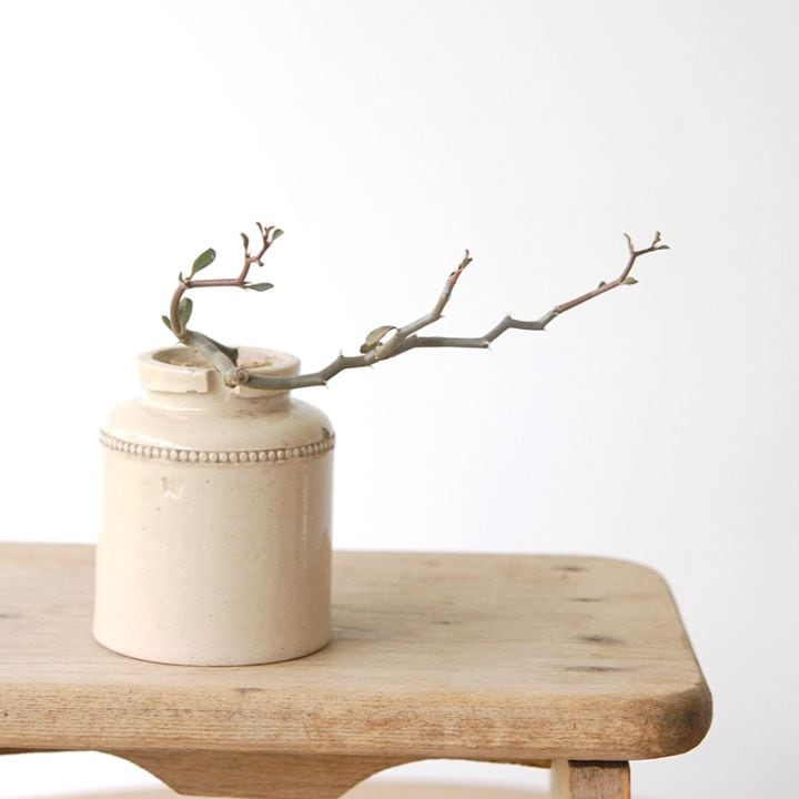 Decarya madagascariensis マダガリエンシス  x antique pot 948