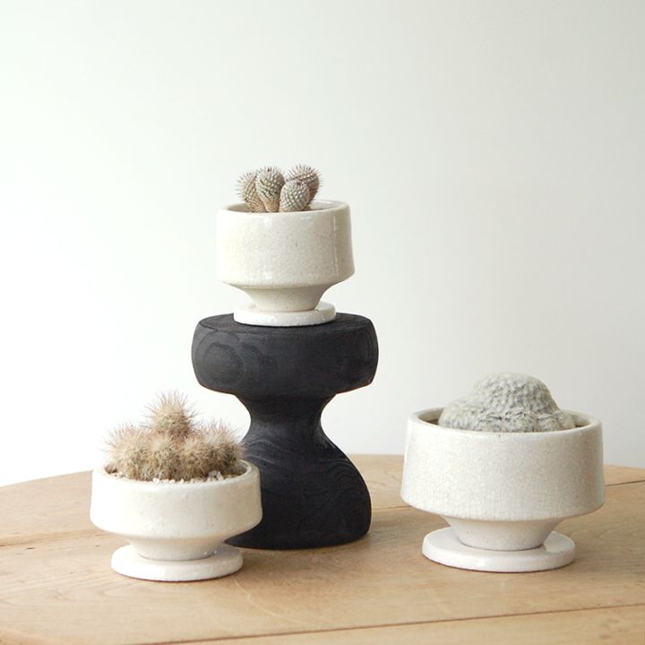 cactus x 貫入pot