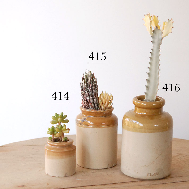 succulent x brown top antique pot