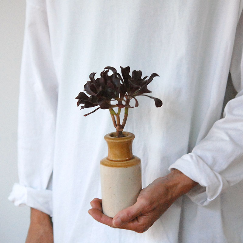 succulent x brown top antique pot