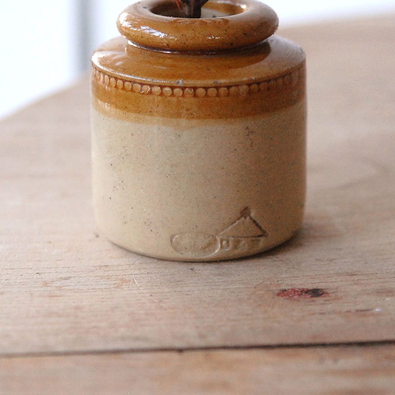 succulent x brown top antique pot