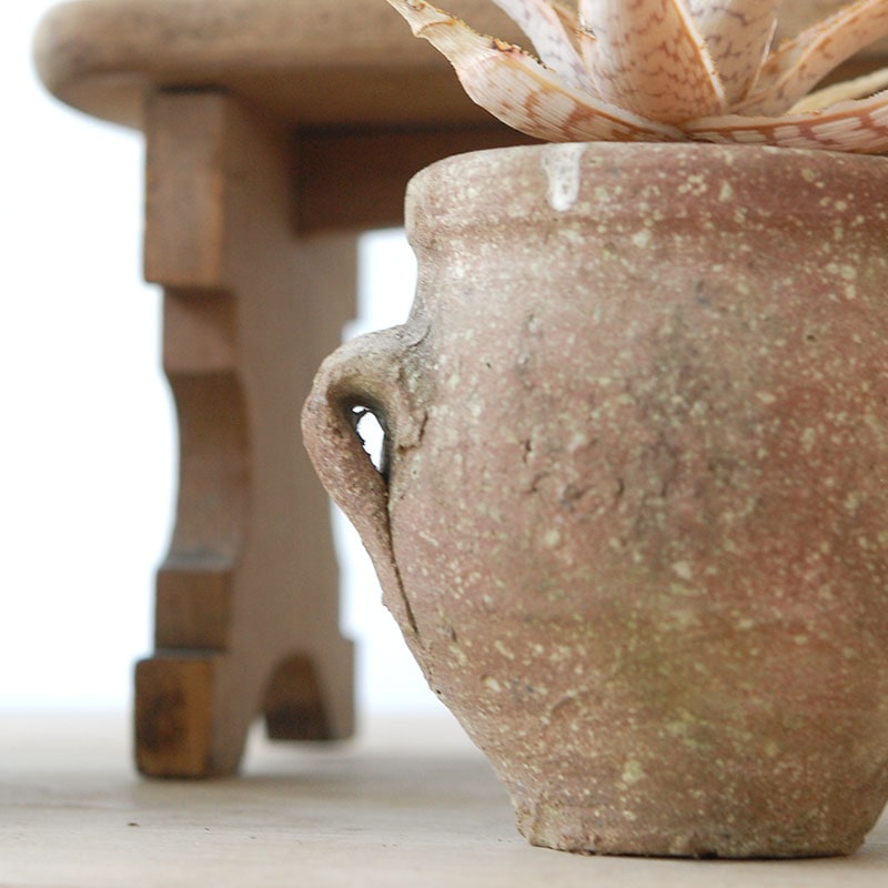succulent x desert pot