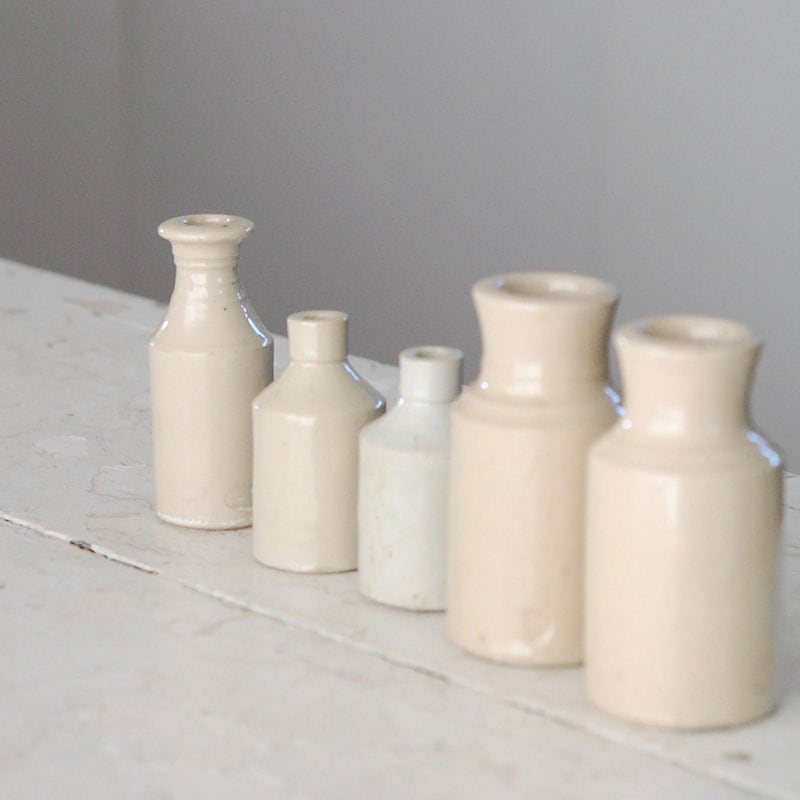 pot / antique イギリスジャー 67~71 | 多肉植物の専門店 solxsol