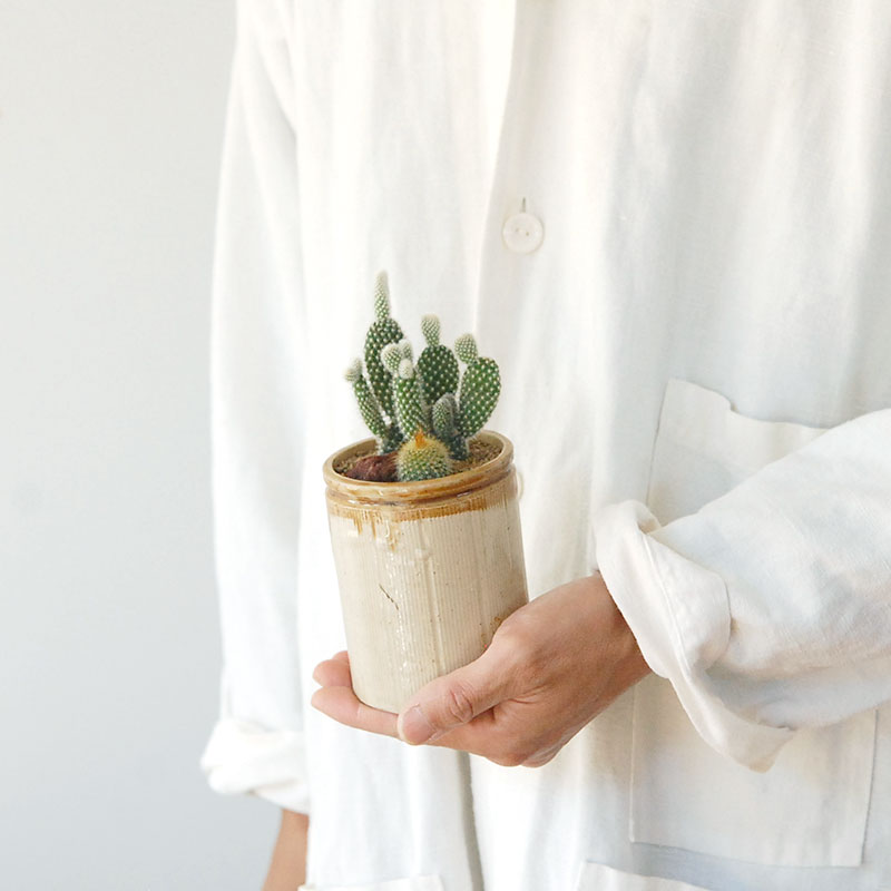 HOLIDAY SELECTION 』サボテン寄せ植え x antique brown top pot