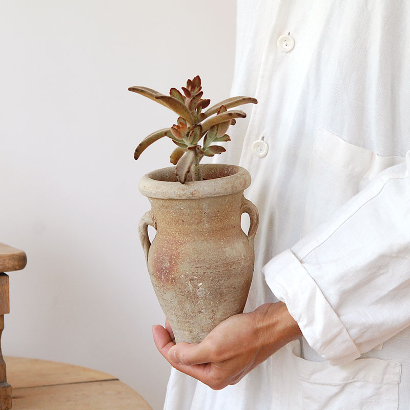 succulent x desert pot