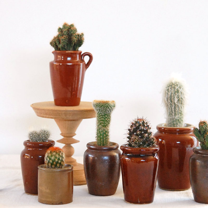 cactus x antique イギリスインクボトル