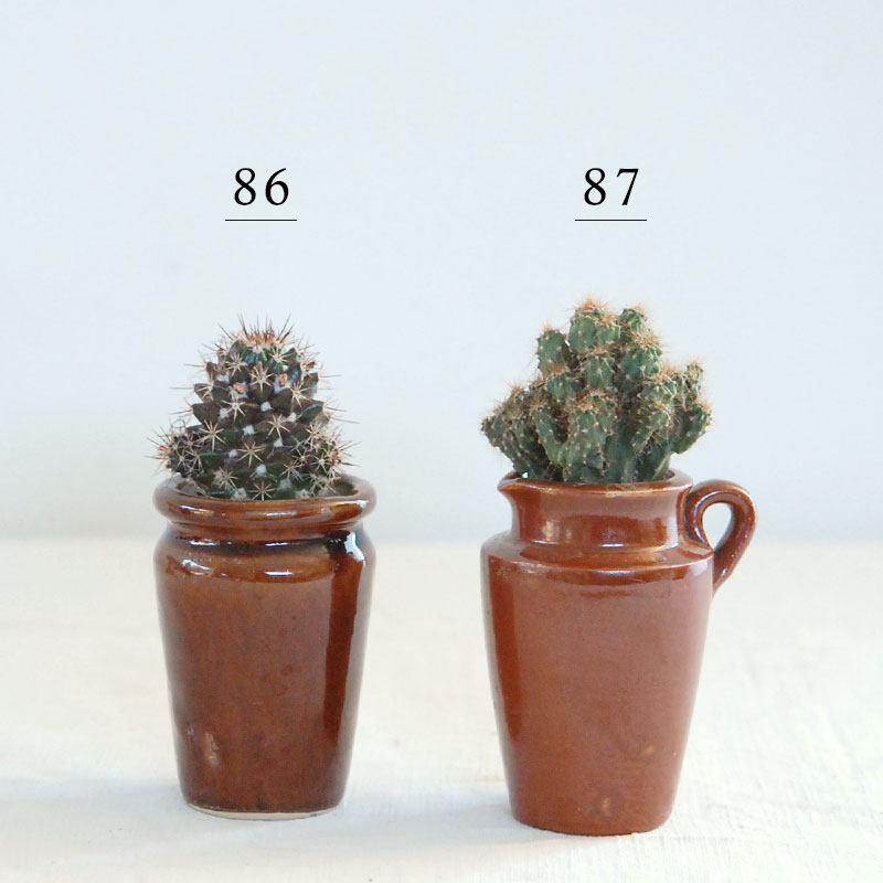 cactus x antique イギリスインクボトル