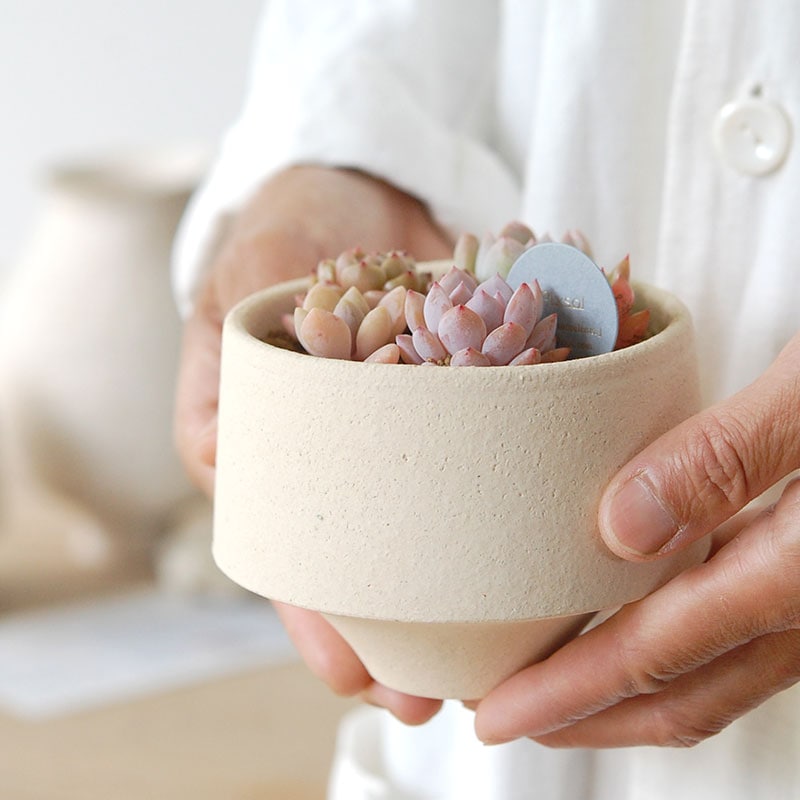 送料無料!【 ECHEVERIA 】Mother’s day gift 2026 x Japan made recycle pot