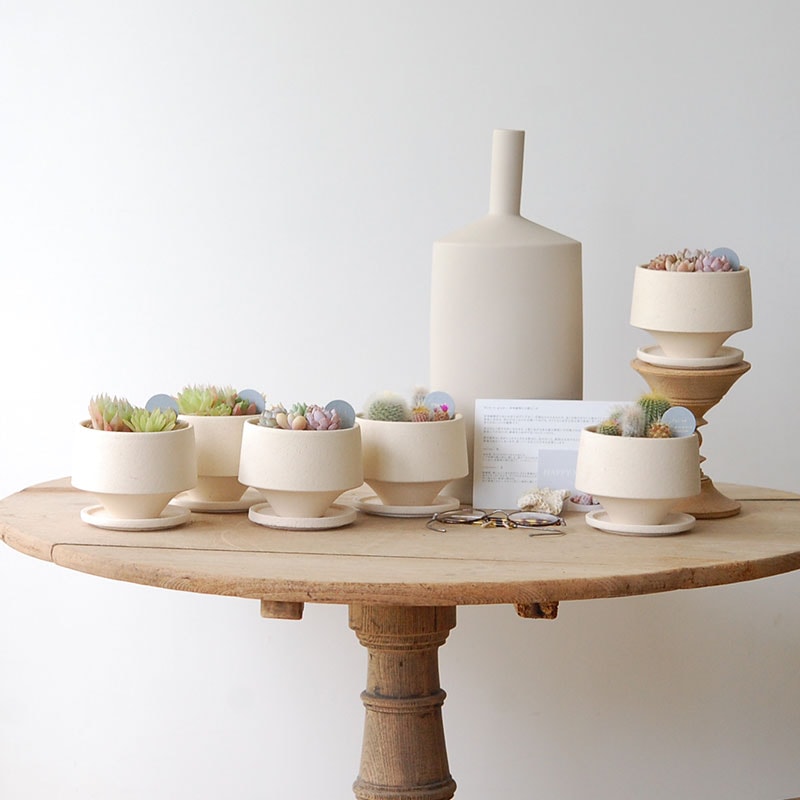 送料無料!【 ECHEVERIA 】Mother’s day gift 2026 x Japan made recycle pot