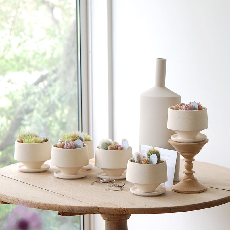 送料無料!【 ECHEVERIA 】Mother’s day gift 2026 x Japan made recycle pot