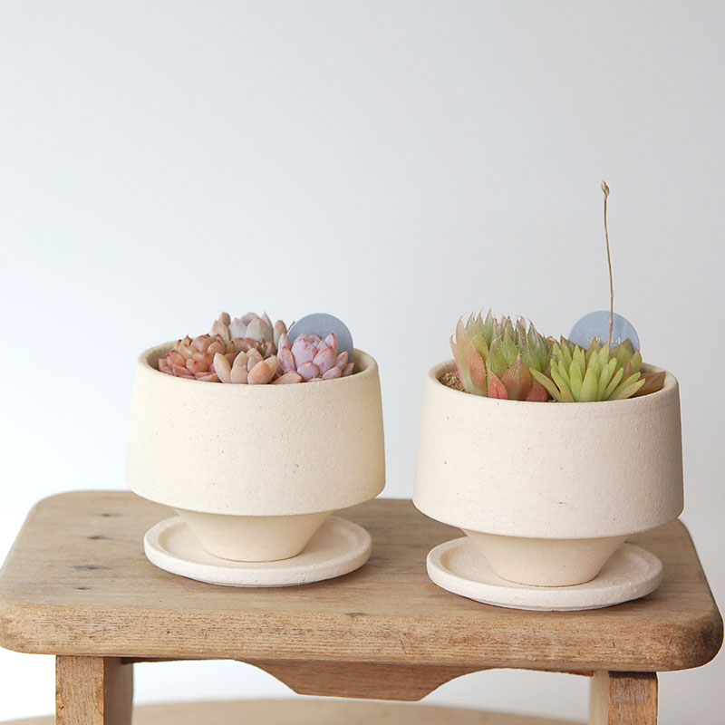 送料無料!【 ECHEVERIA 】Mother’s day gift 2026 x Japan made recycle pot