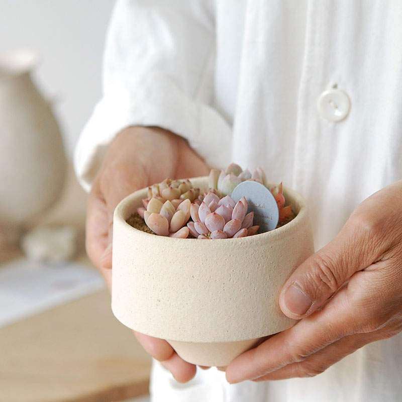 送料無料!【 ECHEVERIA 】Mother’s day gift 2026 x Japan made recycle pot