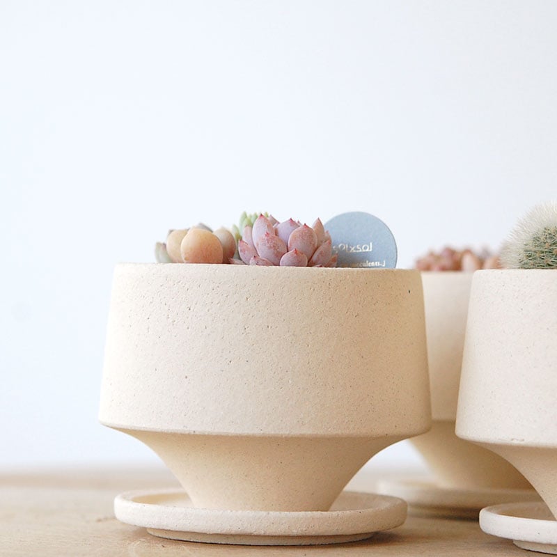 送料無料!【 CACTUS 】 Mother’s day gift 2026 x Japan made recycle pot