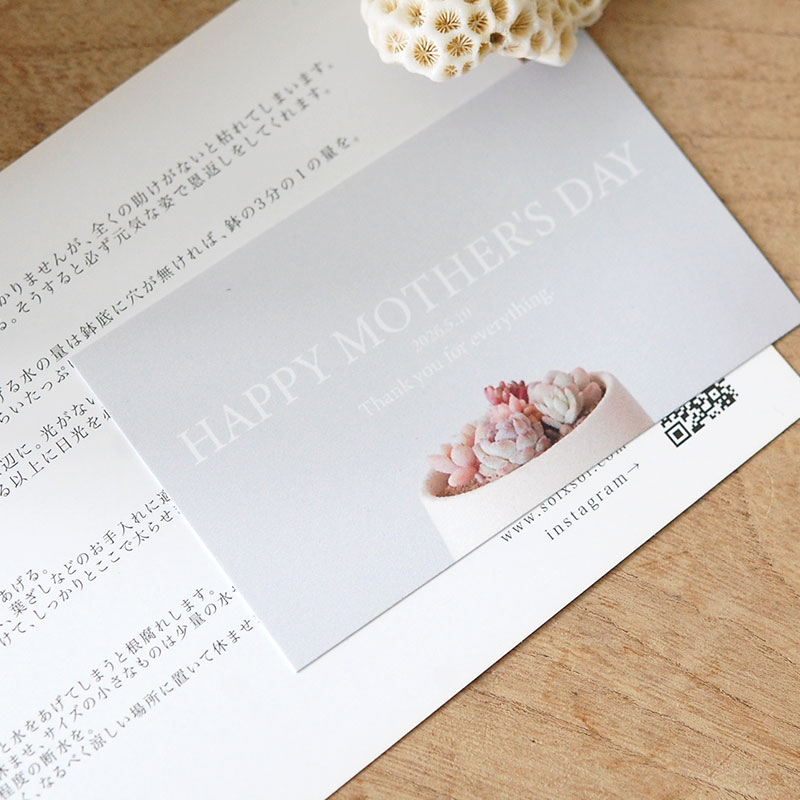 送料無料!【 CACTUS 】 Mother’s day gift 2026 x Japan made recycle pot