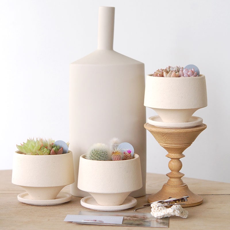 送料無料!【 CACTUS 】 Mother’s day gift 2026 x Japan made recycle pot