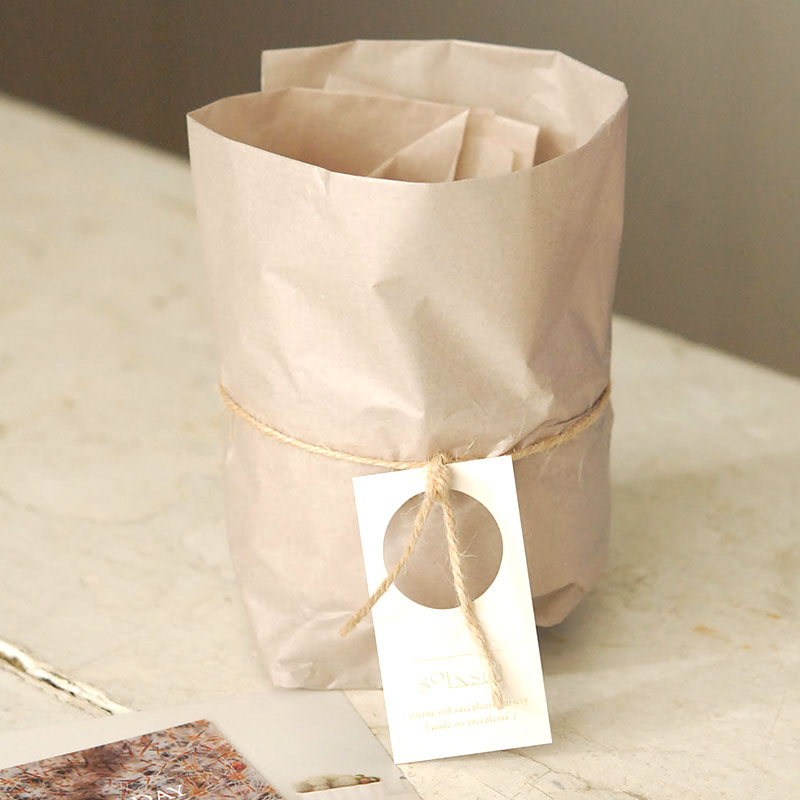 送料無料!【 CACTUS 】 Mother’s day gift 2026 x Japan made recycle pot