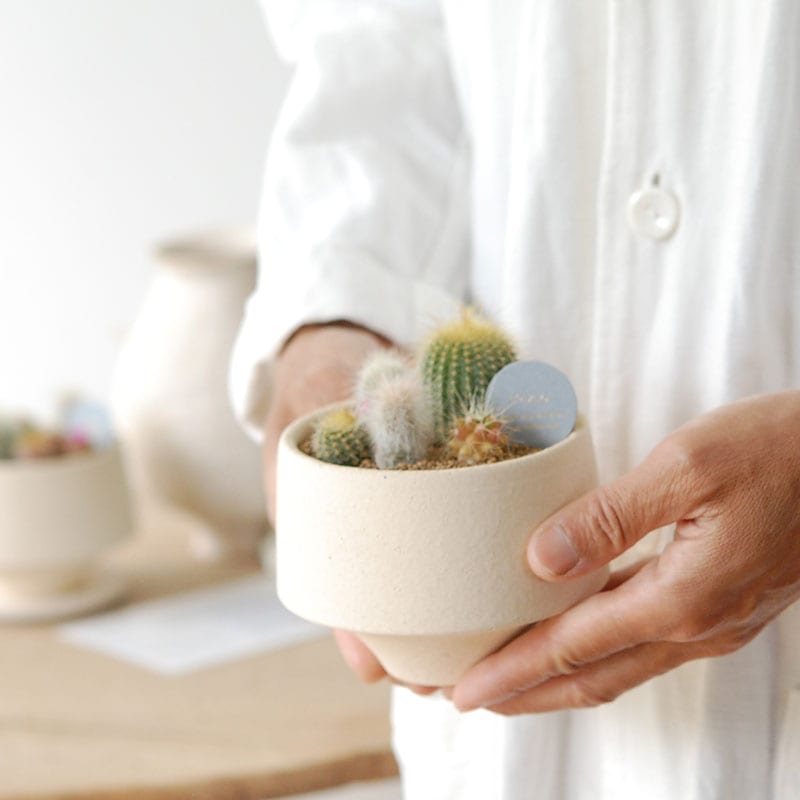 送料無料!【 CACTUS 】 Mother’s day gift 2026 x Japan made recycle pot