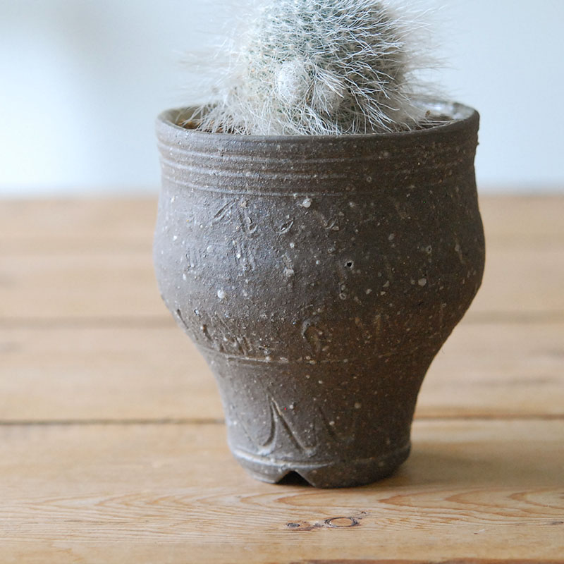 Mammillaria 玉翁殿 x 荻野善史さんの器