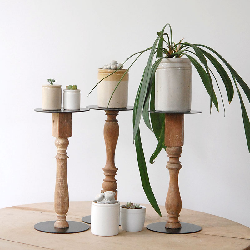 VONA STAND (S) | 多肉植物の専門店 solxsol（ソルバイソル）