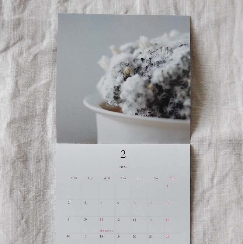 同梱・日時指定可能】solxsolオリジナルカレンダー2026年 通常配送