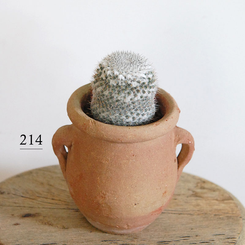 【限定コラボ鉢】HABITAT POT Valiem x COOL CACTUS VALIEM GHOST“THX鉢”青坊主別注 Gray Color 植栽 第一弾 グレー