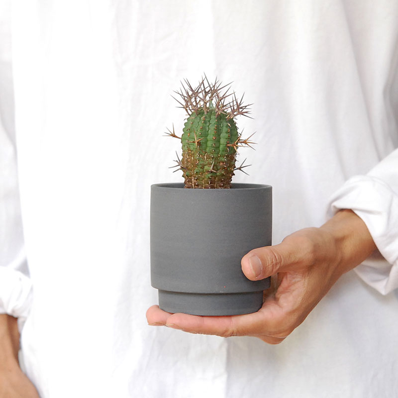 群星冠 x マットポット