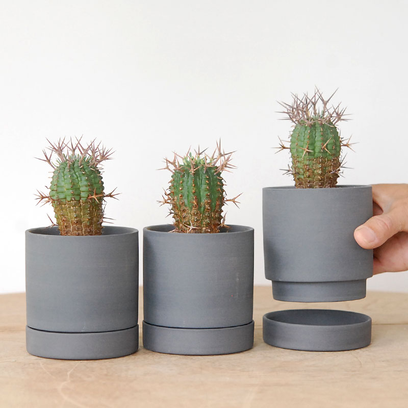 群星冠 x マットポット