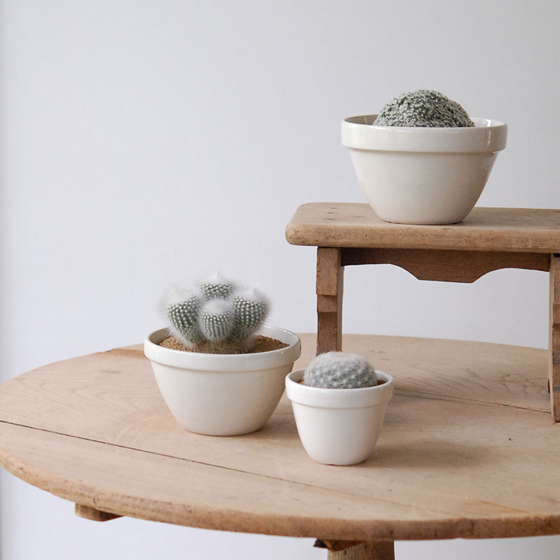 cactus x イギリス antique pudding bowl