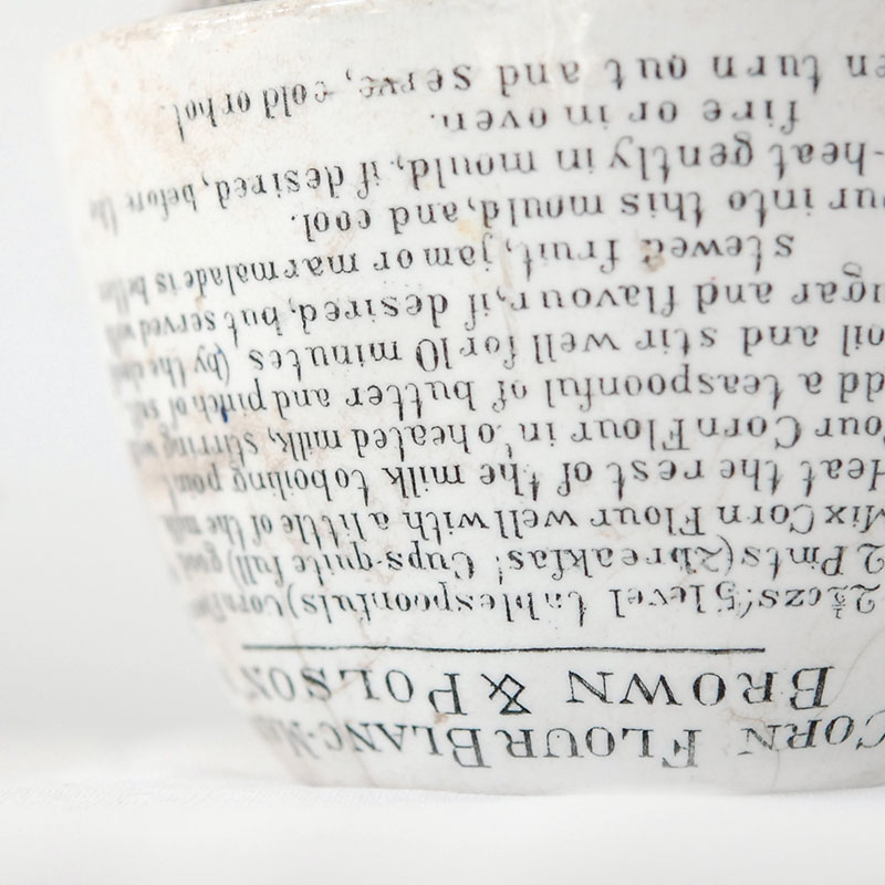 Mammillaria 白鳥 x antique pot 503