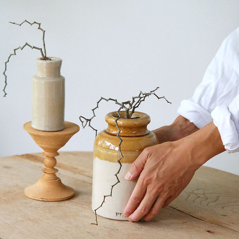 Decarya マダガリエンシス x antique イギリスジャー