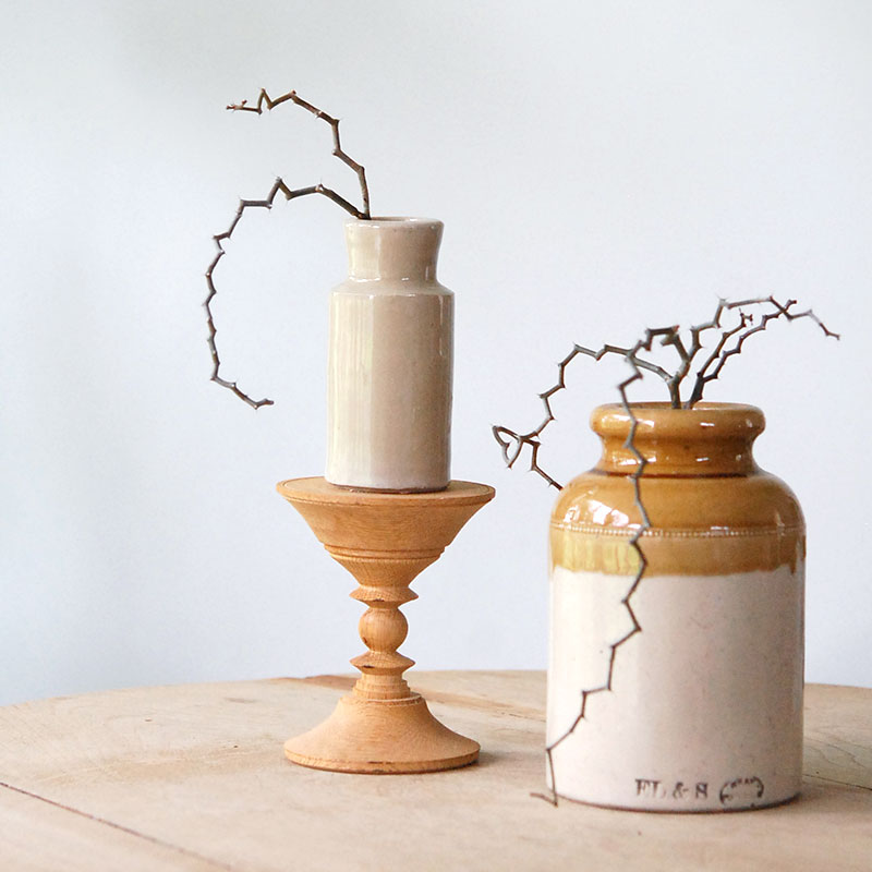 Decarya マダガリエンシス x antique イギリスジャー