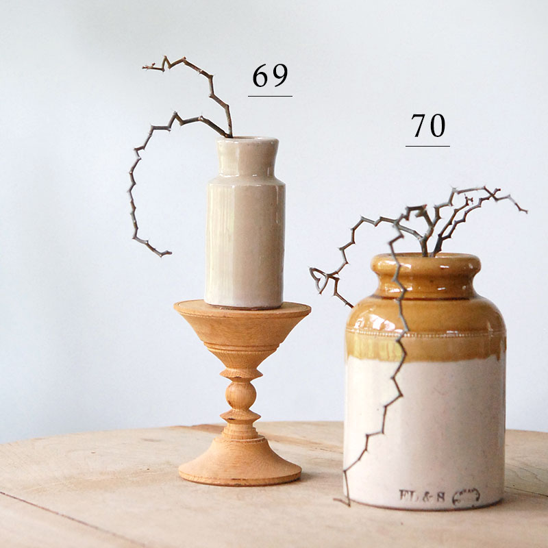 Decarya マダガリエンシス x antique イギリスジャー