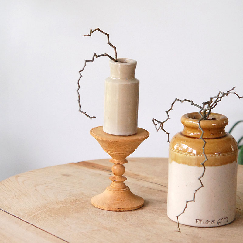 Decarya マダガリエンシス x antique イギリスジャー