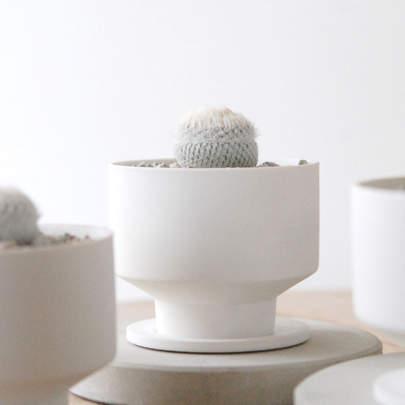 Epithelantha 小人の帽子 x マットポット