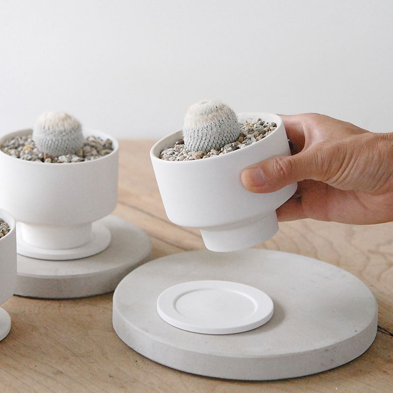 Epithelantha 小人の帽子 x マットポット