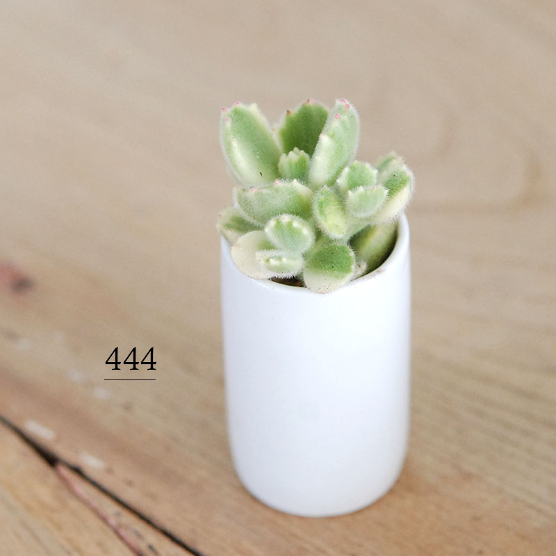 リピーテッド('14米/英/仏/スウェーデン) スウェーデンのリネン刺しゅう糸 – the linen bird