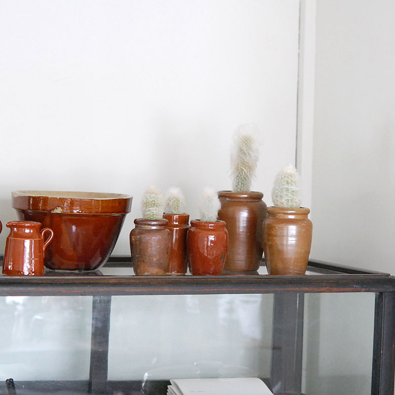 Espostoa x antique イギリスインクボトル