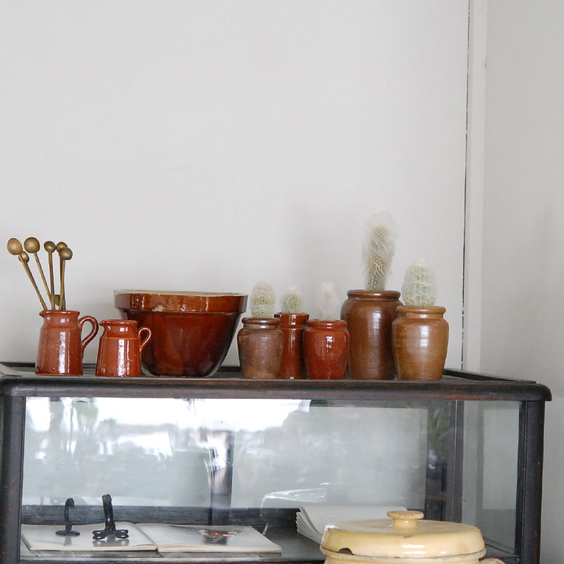 Espostoa x antique イギリスインクボトル