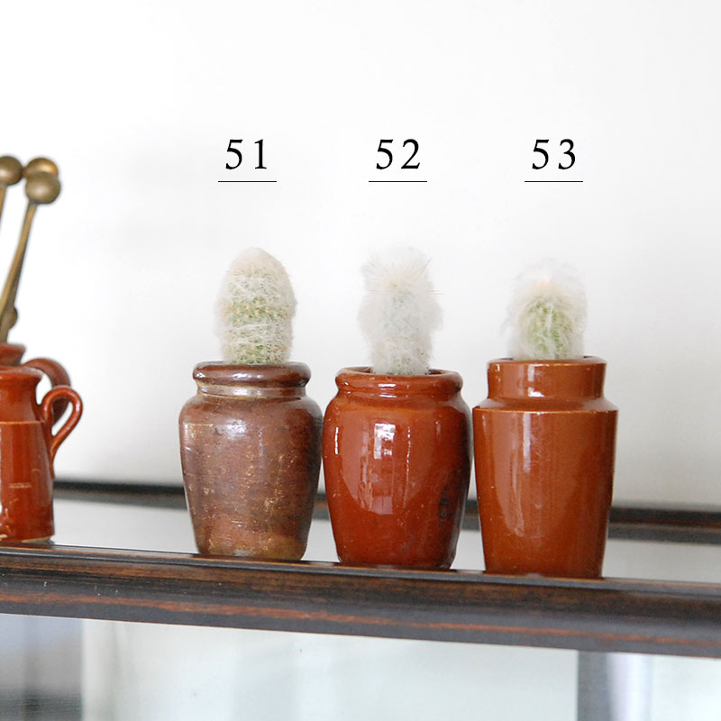 Espostoa x antique イギリスインクボトル