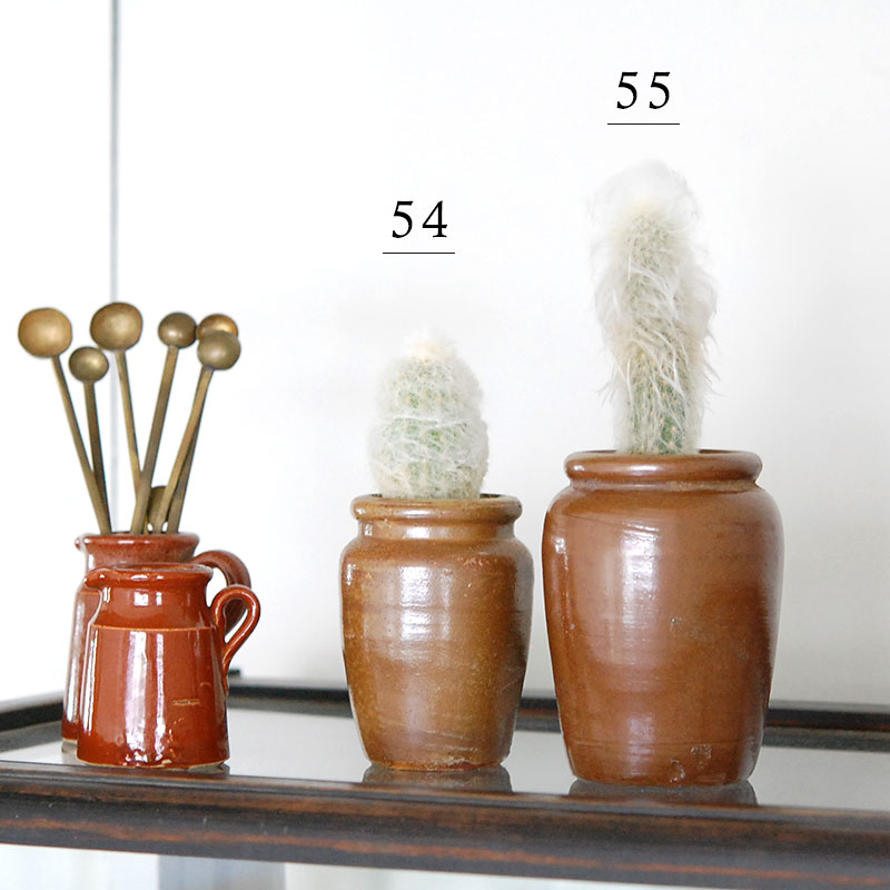 Espostoa x antique イギリスインクボトル