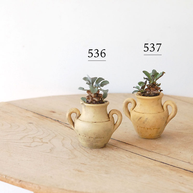 Othonna ヘレイ x antique テラコッタポット