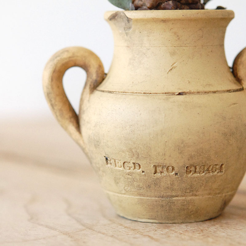 Othonna ヘレイ x antique テラコッタポット