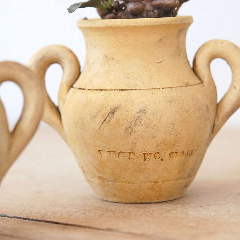 Othonna ヘレイ x antique テラコッタポット